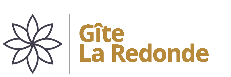 logo b@x transparent