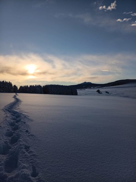 hiver trace neige portrait