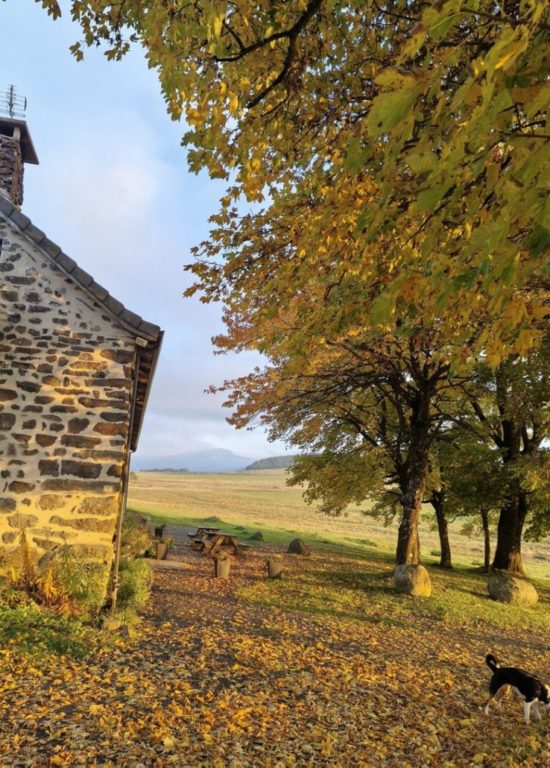 redonde automne format portrait